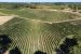 wine estate 10 Rooms for sale on BORDEAUX (33000)