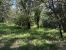 land for sale on LA GARDE FREINET (83680)