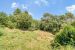 terrain en vente sur MOUGINS (06250)