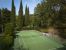 bastide 9 Rooms for sale on AURIBEAU SUR SIAGNE (06810)